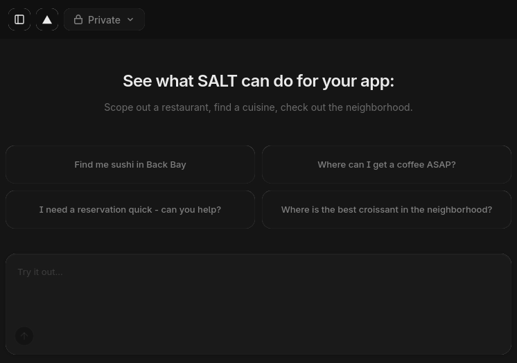 SALT MVP Demo